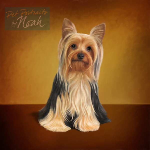 pet portrait-ruffles