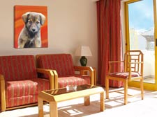 puppy portrait on living room wall