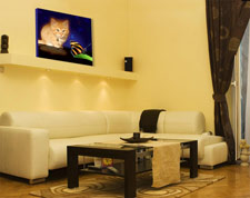 kitten painting in den