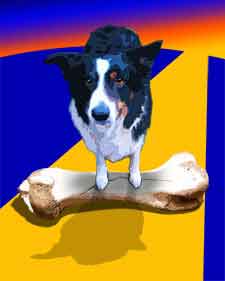 spaniel pet portrait in a pop art style