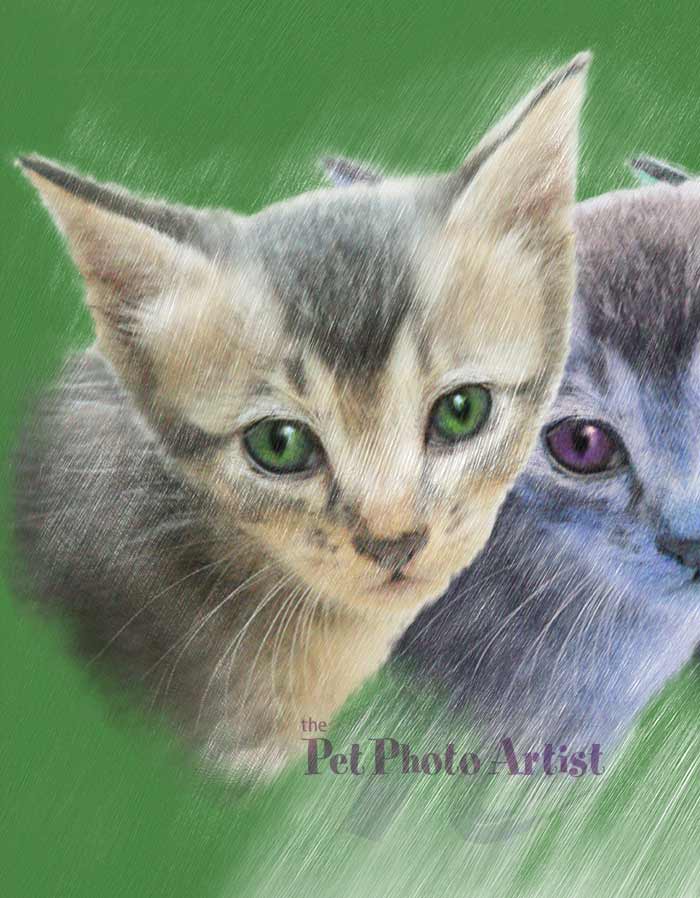 popart cat-eden