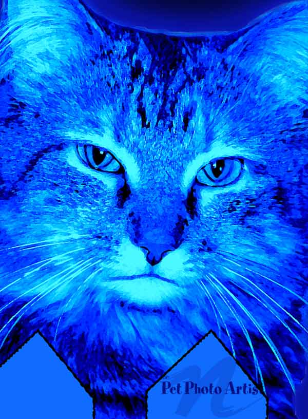popart kitty
