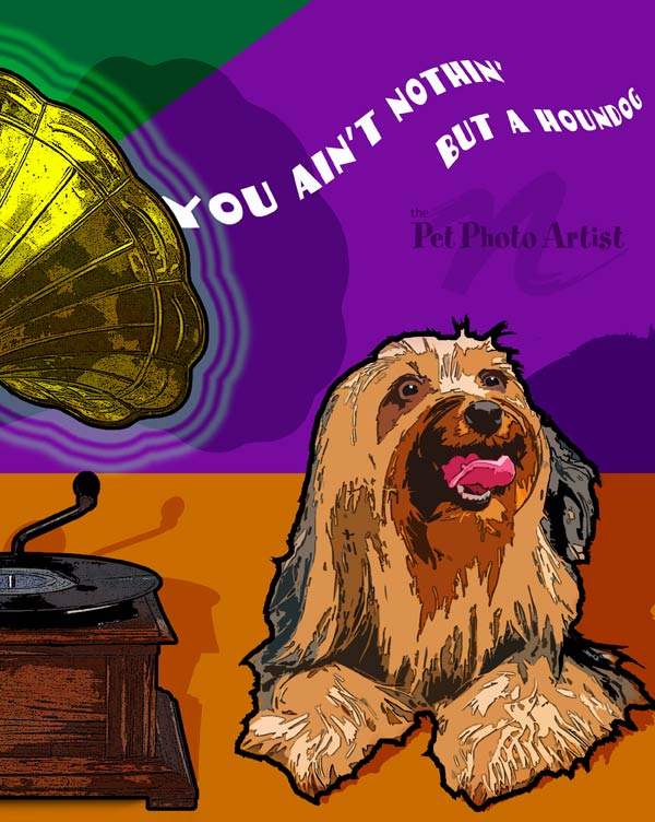 funny yorkie portrait