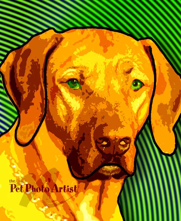 retreiver pop art