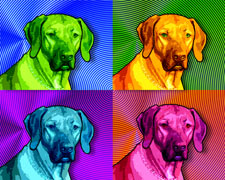 custom pop art painting of dog